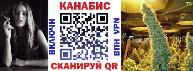 где купить   Семёнов  Шишки марихуана Amnesia 